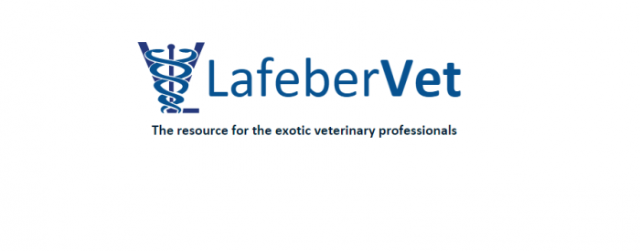 LafeberVet